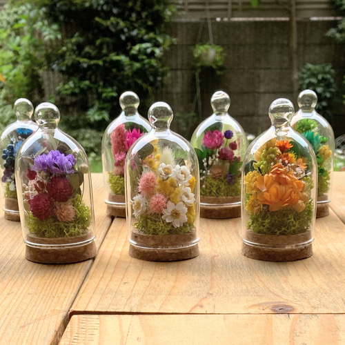 ボトルフラワー ミニミニ ガラスドーム 3個選んで 送料無料 ドライ