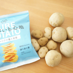 【PURE POTATO じゃがいも心地企画作品】北海道からのお便り〜ジャガイモ編〜 4枚目の画像