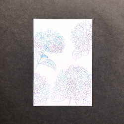 紫陽花のポストカードセット 9枚目の画像