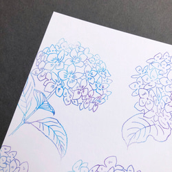 紫陽花のポストカードセット 11枚目の画像