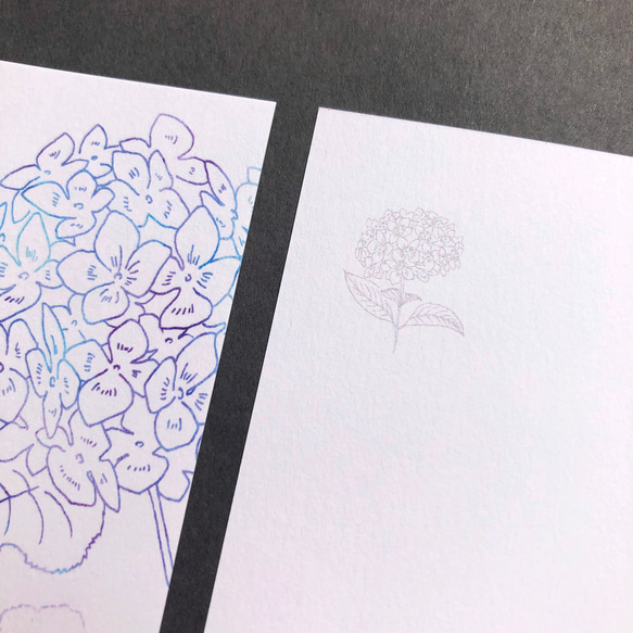 紫陽花のポストカードセット 5枚目の画像