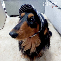 犬のグッツ　ハンドメイド　DOG　ヒッコリー　帽子　キャップ　ストライプ　紫外線対策　ヒッコリーストライプキャップ　S　 5枚目の画像