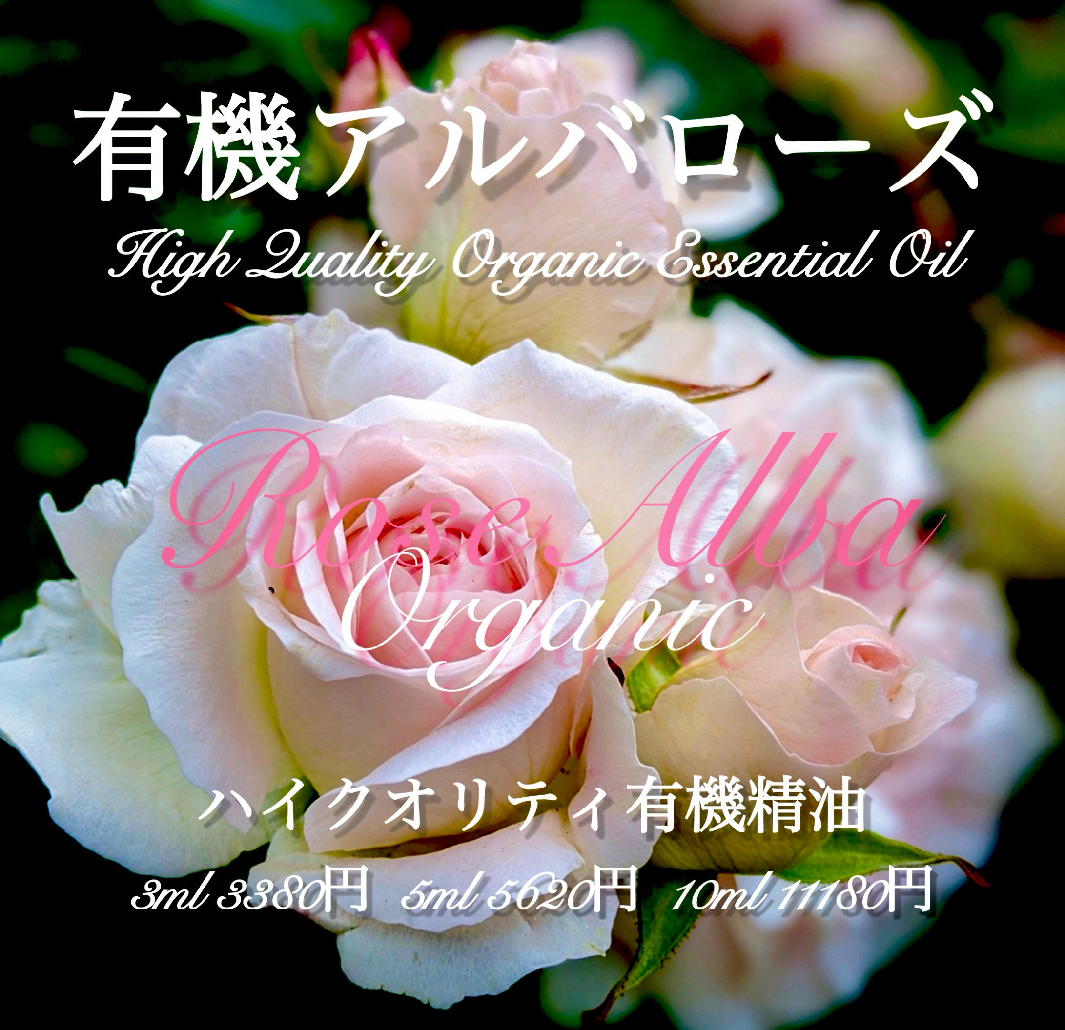 有機（USDAオーガニック）ブルガリアンアルバローズオットー5ml