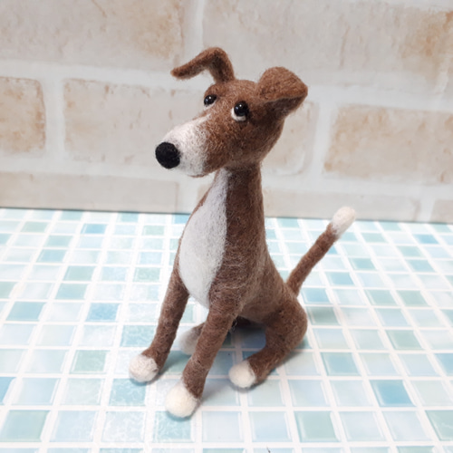 羊毛フェルト　イタリアングレーハウンド　イタグレ The latest commission of Italian Greyhound's been completed