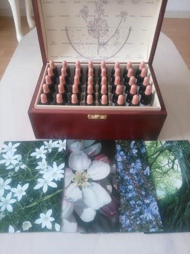 【癒し・リラックス】フラワーエッセンス　ブレンド　遮光瓶２０ミリ