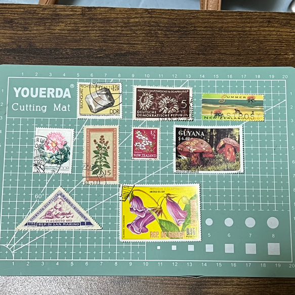 世界の切手~自然・植物~30枚☆使用済み切手・海外切手 5枚目の画像