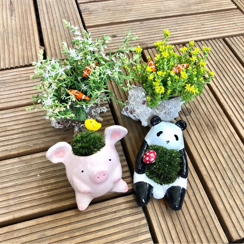 teru3　コケ各種5.5パレット他カサゴケ15本2P teru3 コケ各種5.5パレット他カサゴケ15本2P teru3 コケ各種5.5