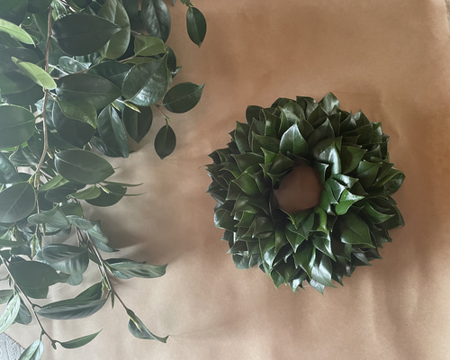 e11fc4613cb5990e5342417f6db3de