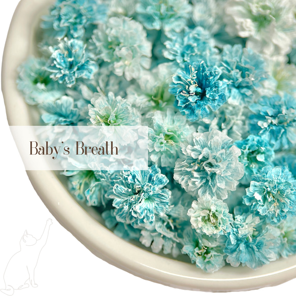 No.2548ハンドメイド ヘアゴム レジン ドライフラワー No.2548