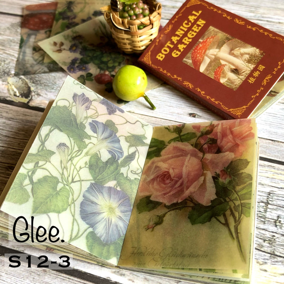 送料無料【S12-3 コラージュ素材】ジャーナル 花植物　日記　紙もの　硫酸紙　おすそ分け　手帳　デザインペーパー 2枚目の画像