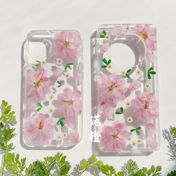 本物のお花 桜 さくら 花びら ピンク 春 フラワー 押し花 シンプル スマホケース ドライフラワー 6枚目の画像