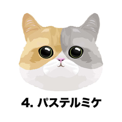 【 ねこ 猫 ミケ 三毛 毛色3色 特大顔 】スマホケース クリアソフトケース プレゼント iPhone&Android 5枚目の画像