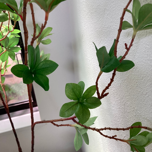 送料込み]ドウダンツツジ N7フェイクグリーン 2本 85cm 枝 アート