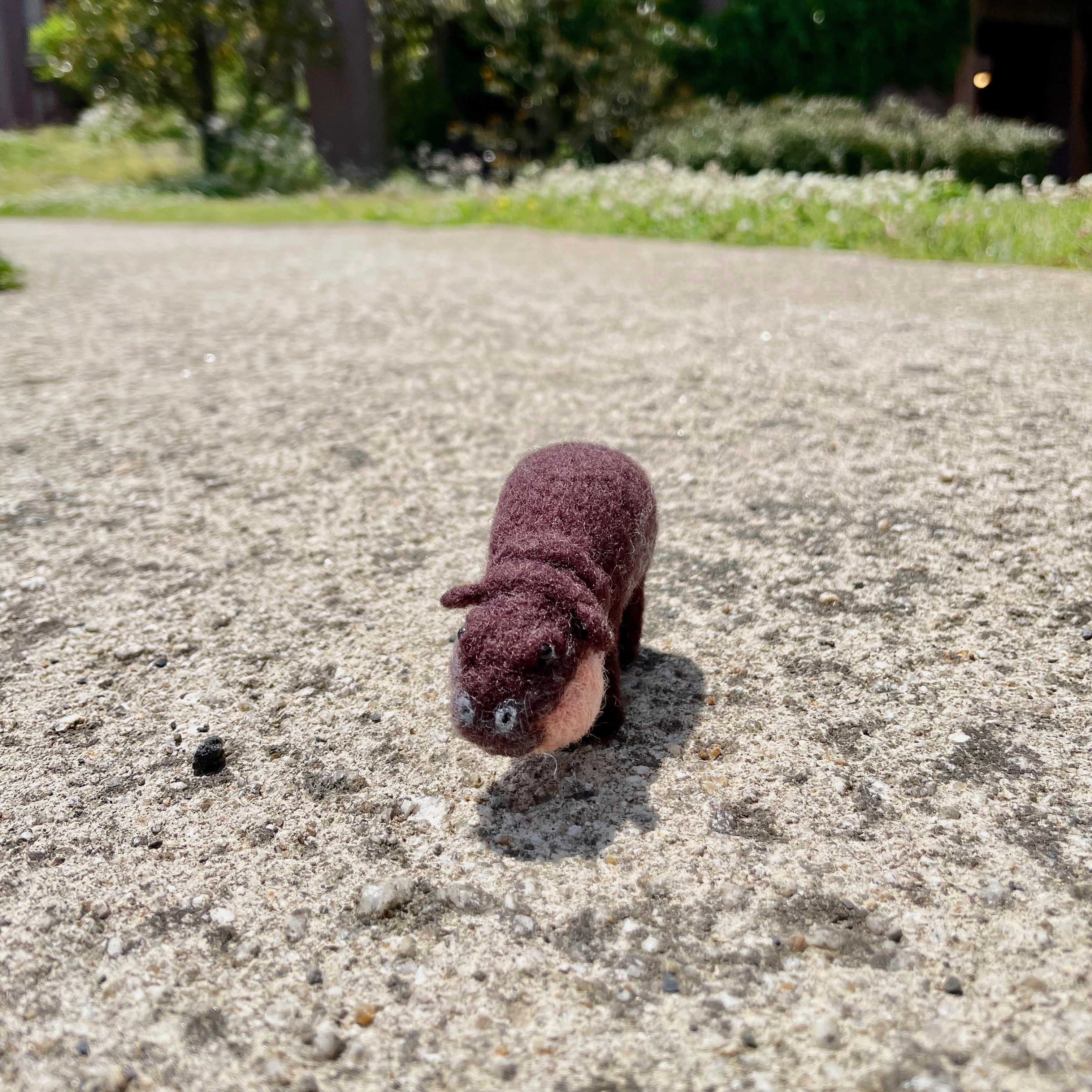 ミニカバの赤ちゃん 4,620円