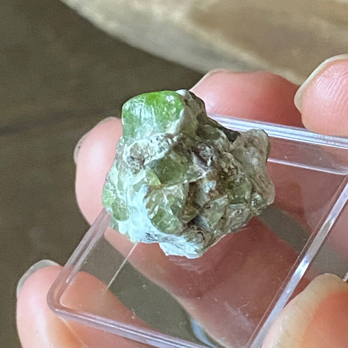 ペリドットの原石 母岩付きPeridot rough gemstone 01 天然石 天然色