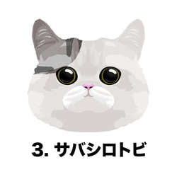 【 ねこ 猫 サバ 毛色3色 左下デザイン 】スマホケース クリアソフトケース プレゼント iPhone&Android 4枚目の画像