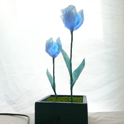 青チューリップの夜光ランプ 2枚目の画像