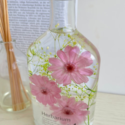 再販！人気　ジニアの優しい風便り　フローラルピンクの三輪花　ハーバリウム♪ 4枚目の画像