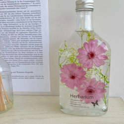 再販！人気　ジニアの優しい風便り　フローラルピンクの三輪花　ハーバリウム♪ 6枚目の画像
