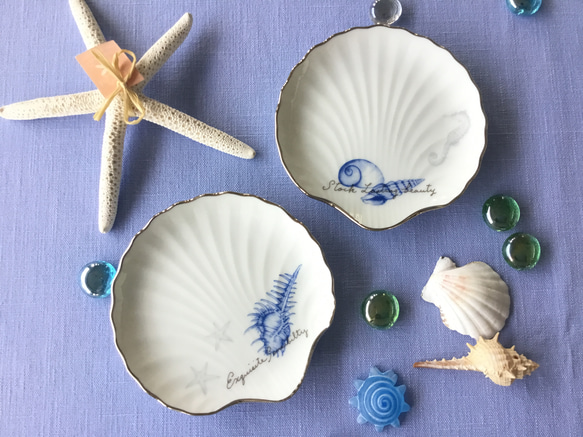 夏柄、小さなシェルプレート2枚組（巻貝） 中皿 s-blueglass 通販