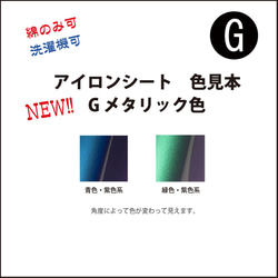 WN　メタリック調の新色！！　恐竜　お名前　オーダー　Lサイズ　2枚　アイロンシール　入園　入学準備 5枚目の画像