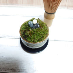 むっちゃんの苔庭　ぐい呑み鉢　草紋 1枚目の画像