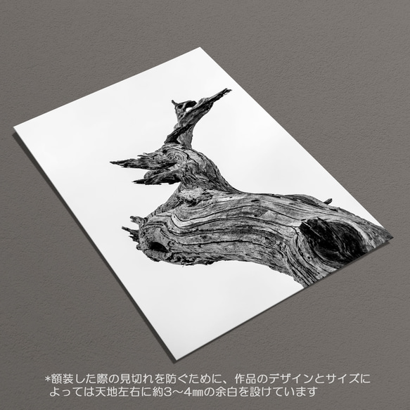 ☆インテリアフォトポスター -driftwood-【317】 6枚目の画像