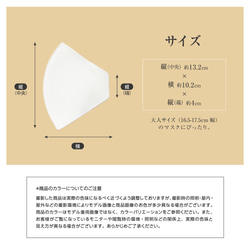 【2枚入り】立体不織布用インナーマスク 洗える3D立体　抗菌・吸水速乾・接触冷感・UVカット・日本製■MA-39 5枚目の画像