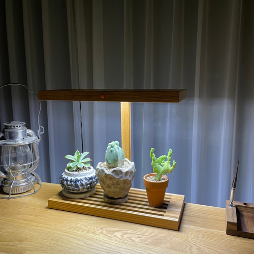 植物育成 LEDライトスタンド（4灯ナラ） 一輪挿し・花瓶・花器 8929 