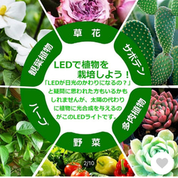 植物育成 LEDライトスタンド（4灯ナラ） 6枚目の画像