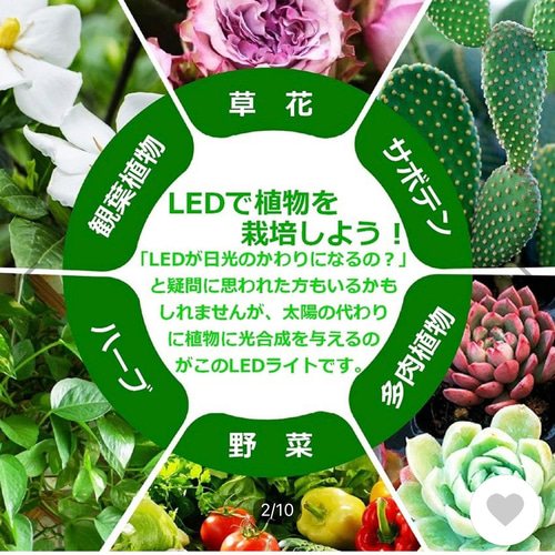 植物育成LEDライトスタンド［ナラ4灯] 植物育成 LEDライトスタンド（4灯ナラ） 一輪挿し・花瓶・花器