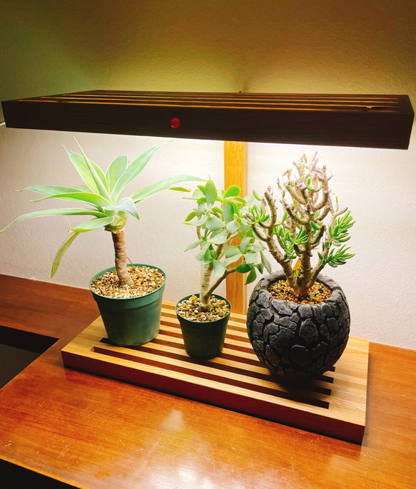 植物育成LEDライトスタンド［ナラ4灯] 植物育成 LEDライトスタンド（4灯ナラ） 一輪挿し・花瓶・花器
