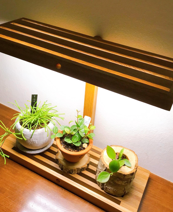 植物育成 LEDライトスタンド（4灯ナラ） 9枚目の画像