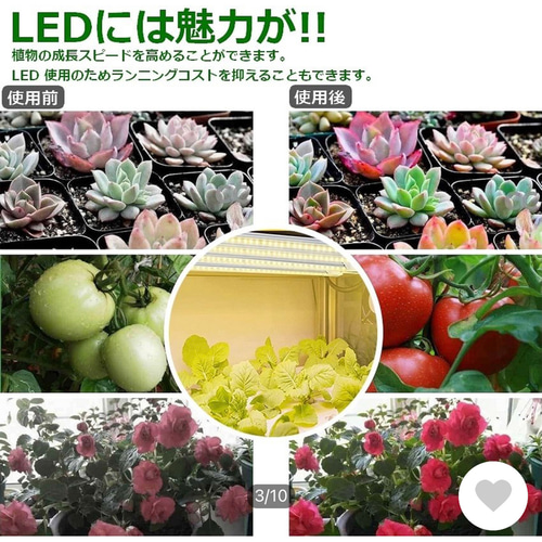 植物育成 LEDライトスタンド（4灯ナラ） 一輪挿し・花瓶・花器 8929