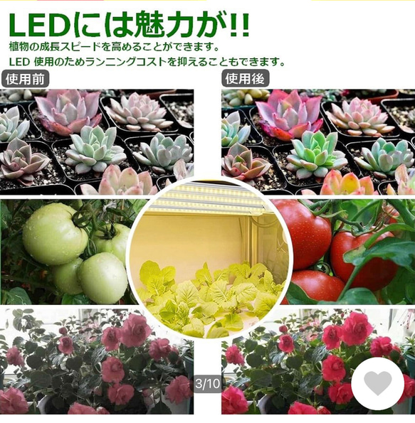 植物育成 LEDライトスタンド（4灯ナラ） 4枚目の画像