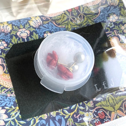  第6張的照片