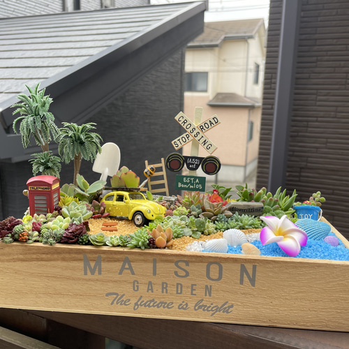 プレゼントにも〜受注制作 海ワーゲン箱庭風多肉植物寄せ植え 多肉植物