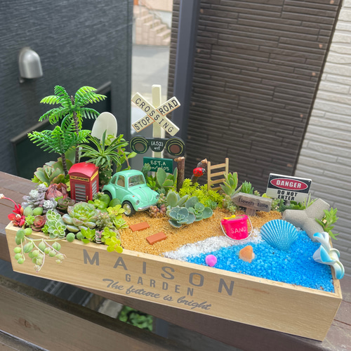 プレゼントにも〜受注制作 海ワーゲン箱庭風多肉植物寄せ植え 多肉植物