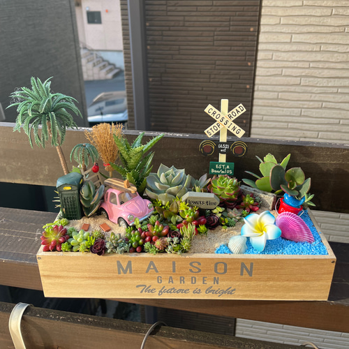 プレゼントにも〜受注制作 海ワーゲン箱庭風多肉植物寄せ植え 多肉植物
