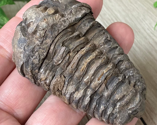 4e8fc857e5dd8b33b481ac7cd5b393