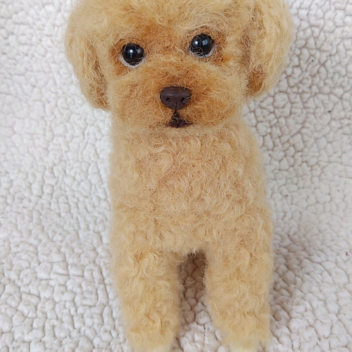 チワワ おすわり 羊毛フェルト 犬 うちのこ - メルカリ