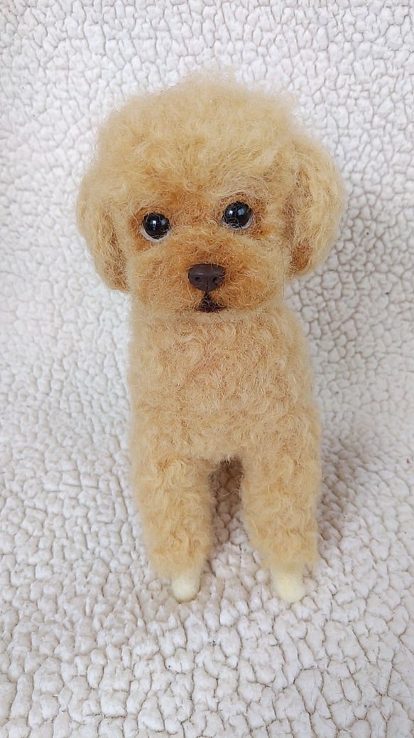スーパーセール期間限定 うちの子❤トイプードル（お座り＆伏せ） 羊毛フェルト 羊毛フェルト
