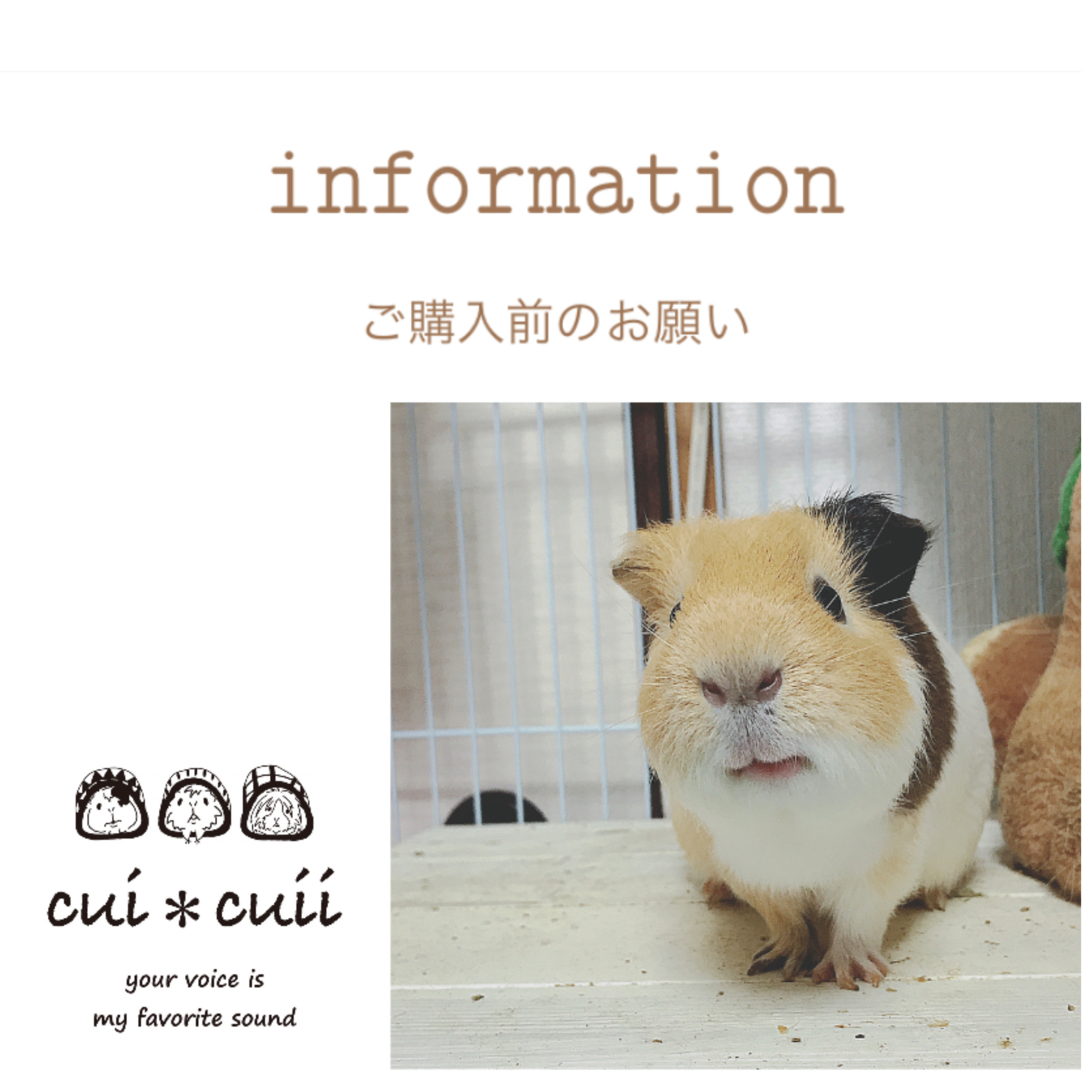 【ご購入前のお願い】