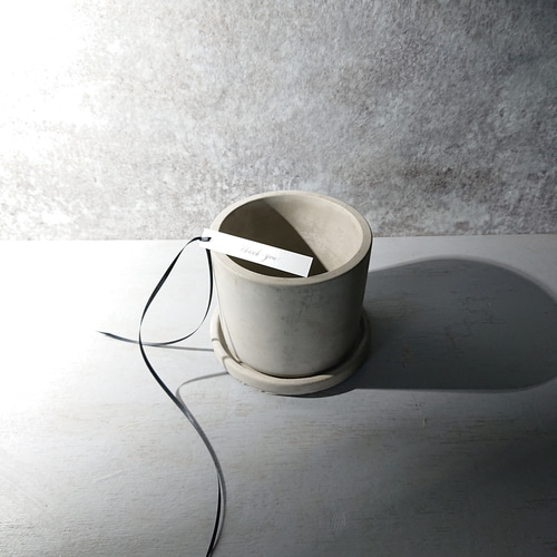 ○数量限定○新作○”アスパラガス・スプレンゲリー アッシュグレー鉢