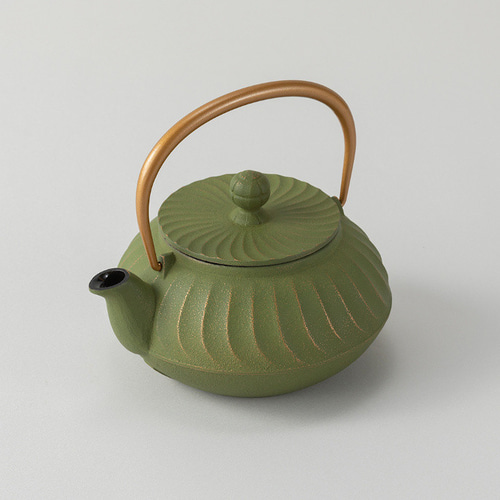 公式】岩鋳 南部鉄器 急須 5型波（金／若草） ポット・急須