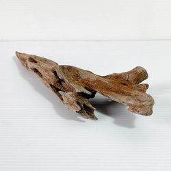 【送料無料】流木 塊流木 インテリア 爬虫類 DIY 昆虫 ka0357 3枚目の画像