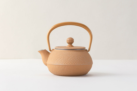 岩鋳 南部鉄器 鉄瓶兼用 新急須 3型アラレ セット （釜敷付） 岩