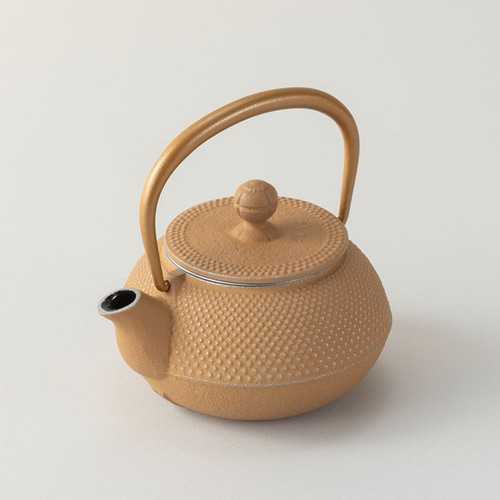 公式】岩鋳 南部鉄器 急須 3型アラレ（銀／ベージュ） ポット・急須