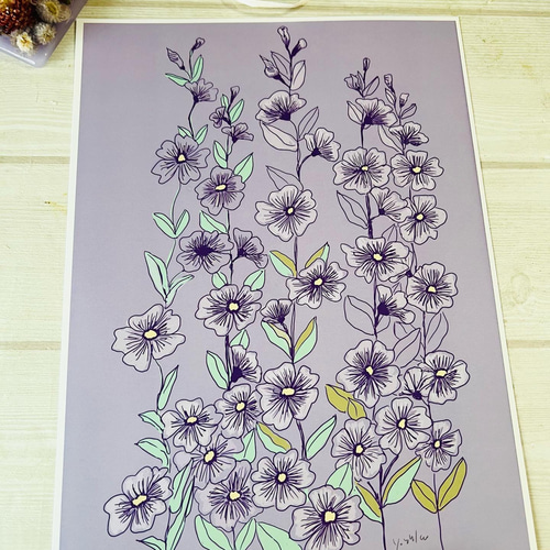 花のイラスト アート作品 90cm✖️90cm 9月5日誕生花 マロウ 花言葉 ポスター 自分磨きに頑張ろう イラスト