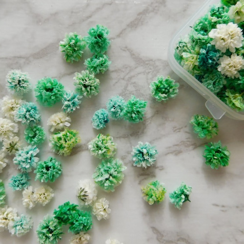 選べる！ 三色かすみ草ドライフラワー その他素材 ababko 通販